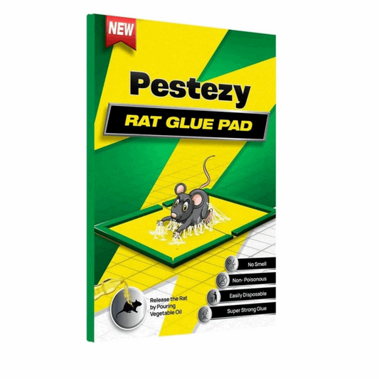 Pestezy Rat/mouse trap/glue pad for use in kitchen, warehouses, Restaurents, Office & Food industry etc Pack of 5