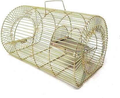 Rat Cage Big Trap