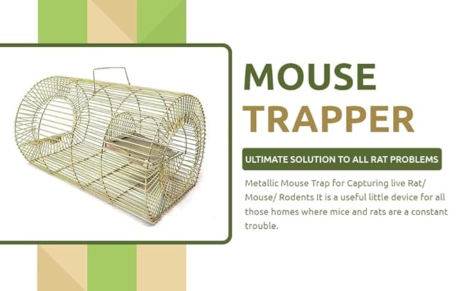 Rat Cage Big Trap