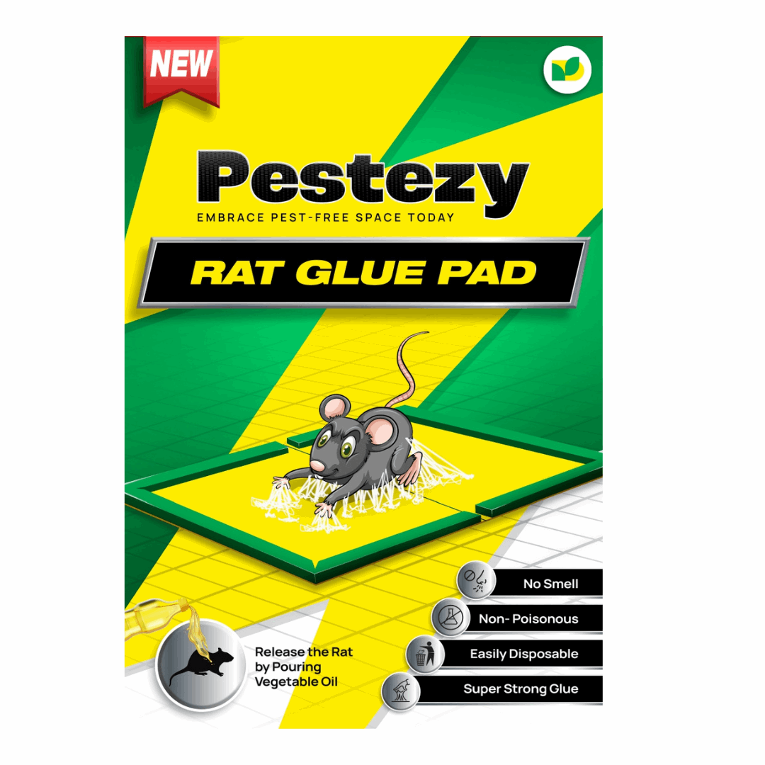 Pestezy Rat/mouse trap/glue pad for use in kitchen, warehouses, Restaurents, Office & Food industry etc Pack of 5