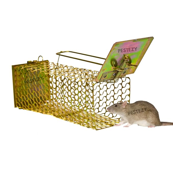 Rat Cage Chain Trap