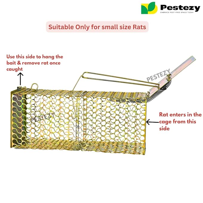 Rat Cage Chain Trap