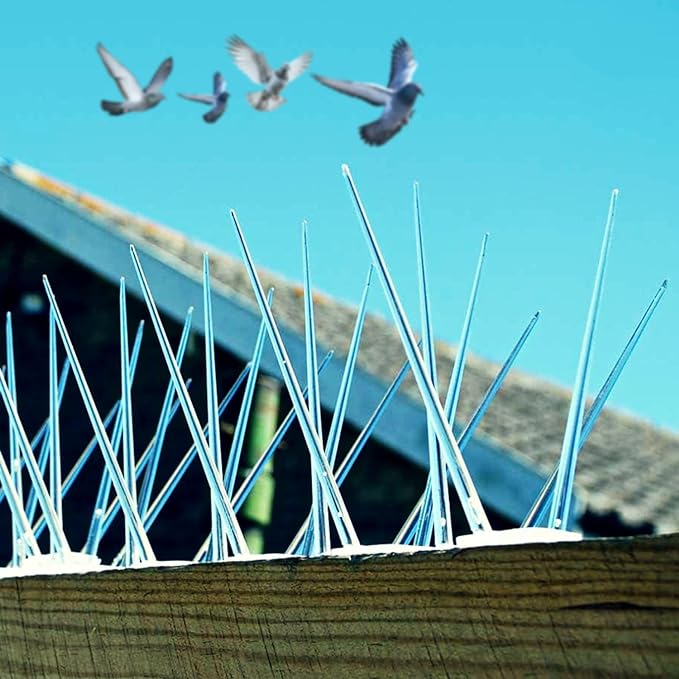 Bird and Pigeon Control Spikes | Weather Resistant | 13 in x 1 in x 3.7 in