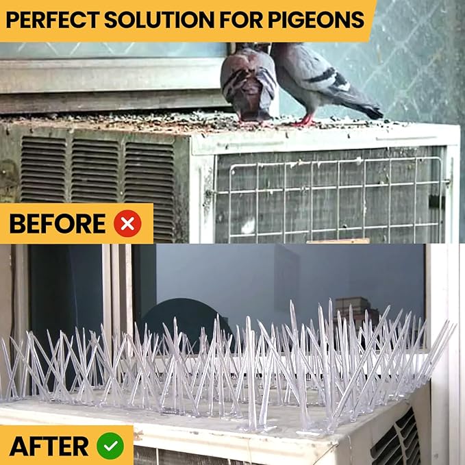 Bird and Pigeon Control Spikes | Weather Resistant | 13 in x 1 in x 3.7 in