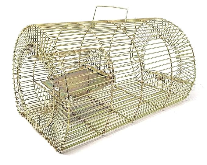 Rat Cage Big Trap