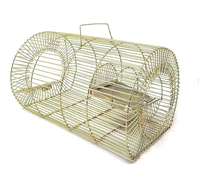 Rat Cage Big Trap