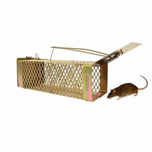 PESTEZY Mouse/Rat Trap cage for Small Size Rats, Chuha Pinjara, Iron cage, Rat cage, for use in House,etc (Criss Cross Trap) (22x9x9cm)SMALL